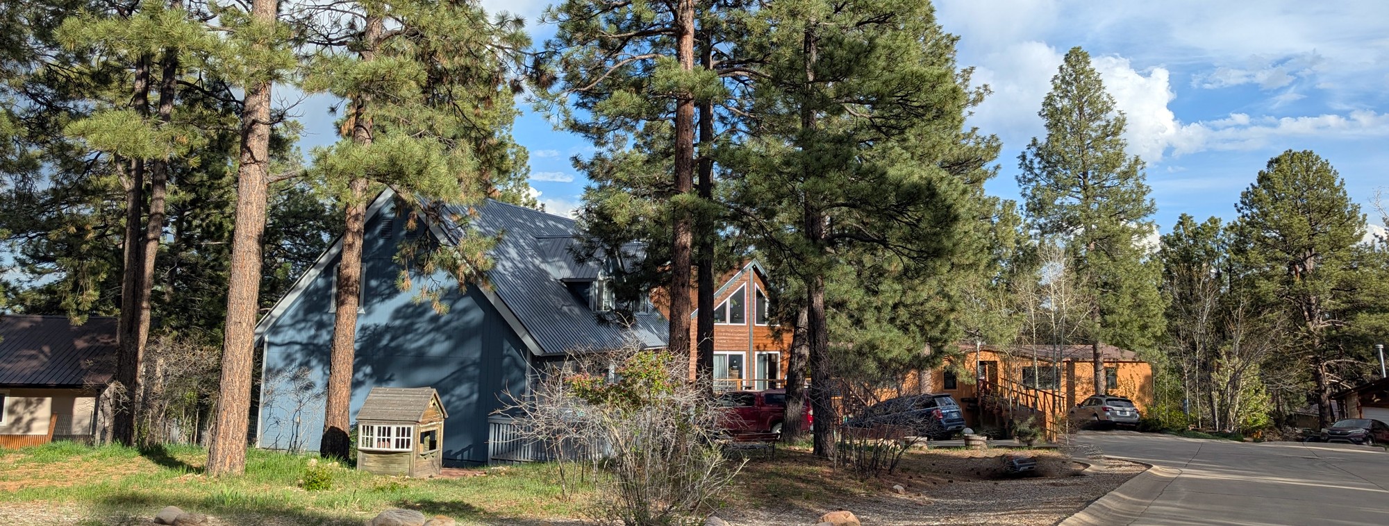 Durango West 1 homes for sale in Durango, CO — houses among towering ponderosa pines